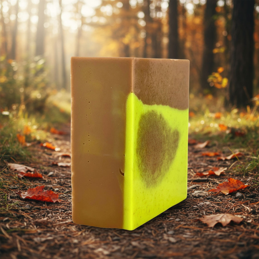 Soap on a forest floor with autumn leaves