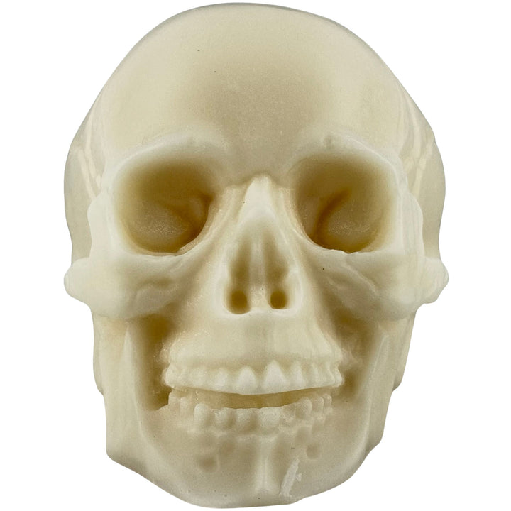 An off-white, bone-colored skull soap shown from a front-facing perspective against a solid white background.